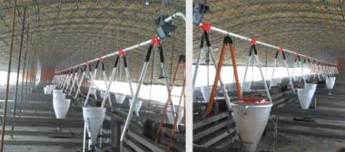 Pig Chain-disc Feed Auger Automatic Feeding Line System For Pig Farming